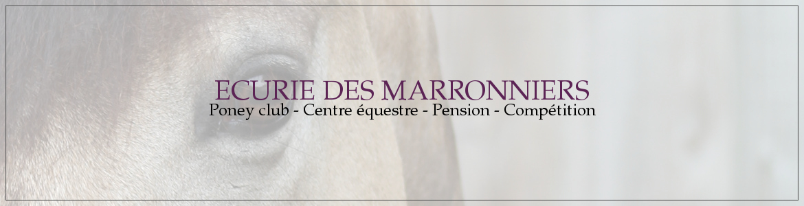 ECURIE DES MARRONNIERS